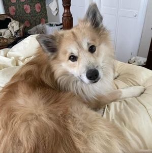 Meet your Posher, Hanae